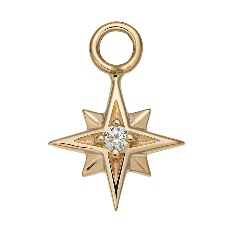 Aster charm gold 14Kt
