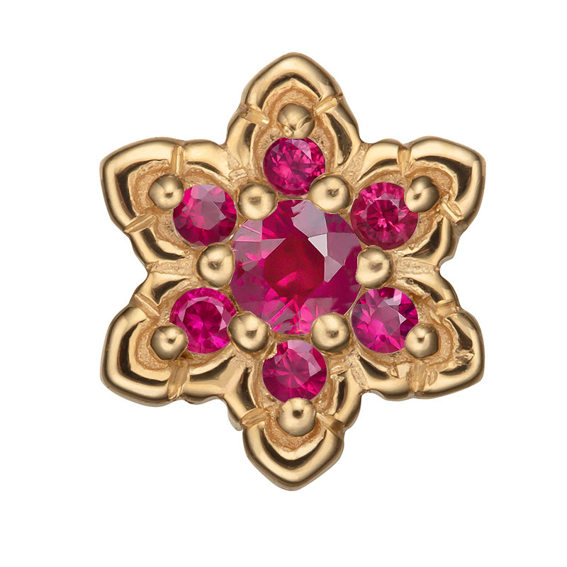 Lilith 14kt gold & ruby