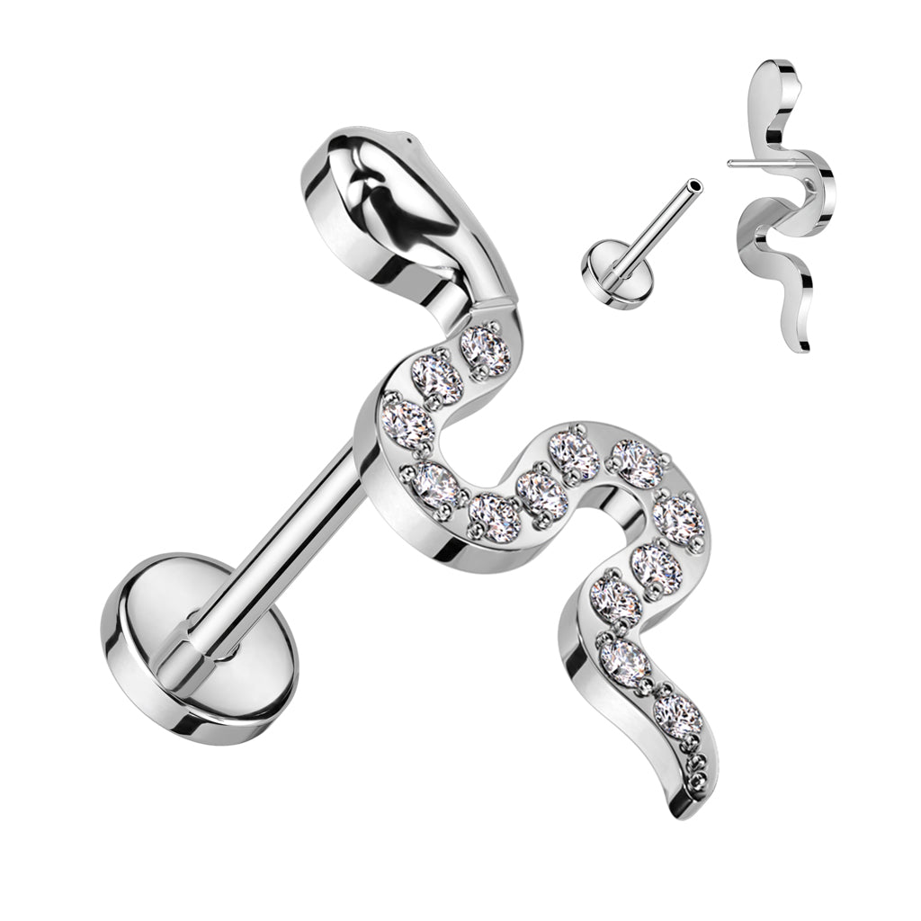 Shiny snake