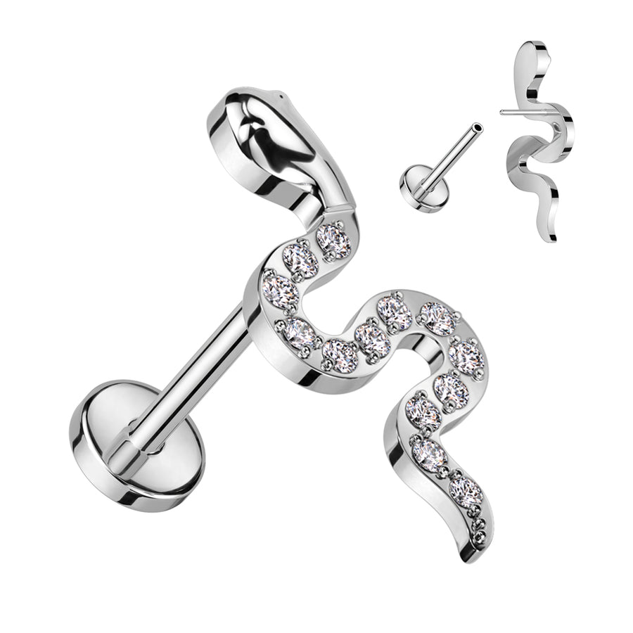 Shiny snake
