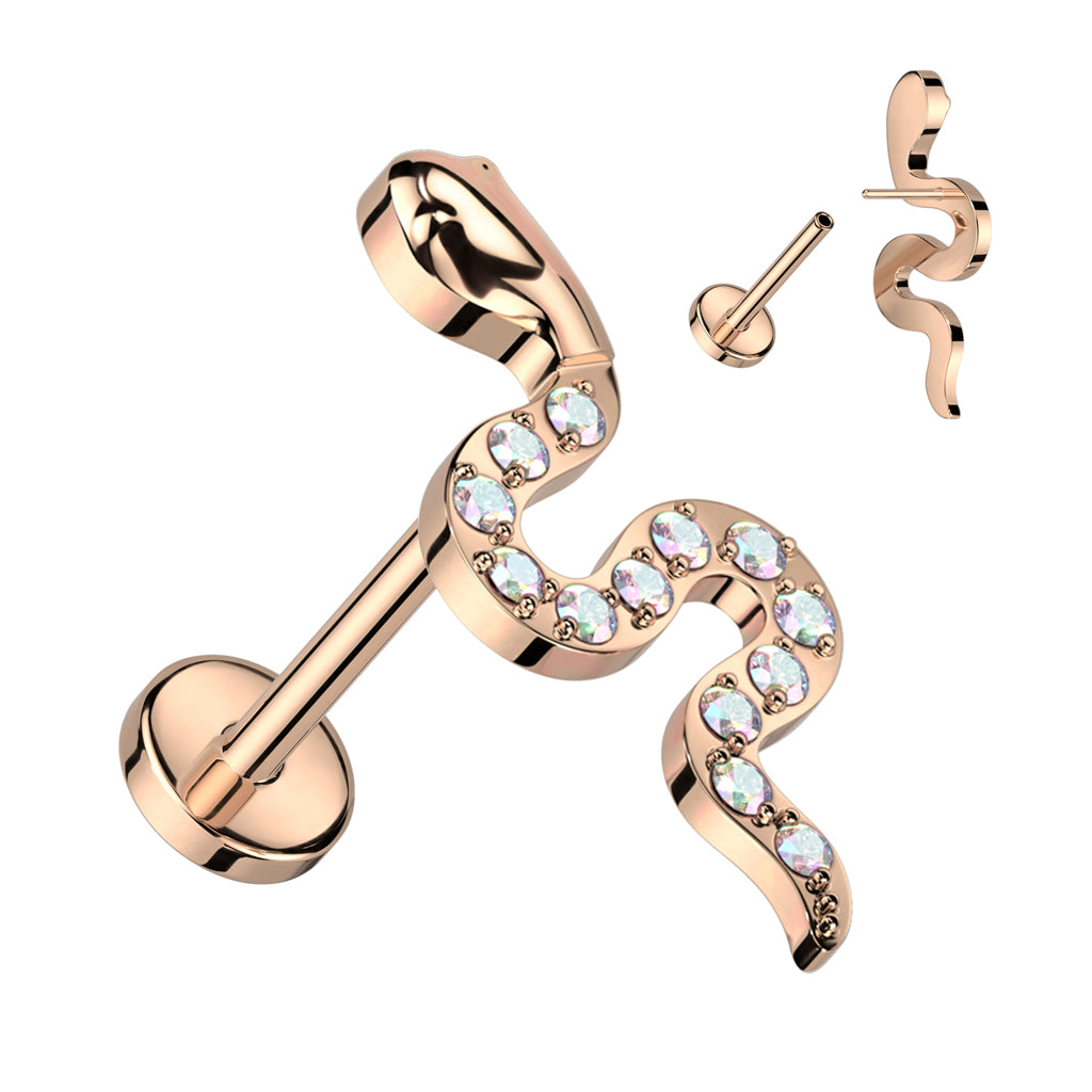 Shiny snake