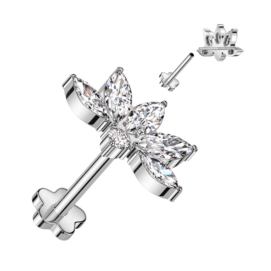 Cleo