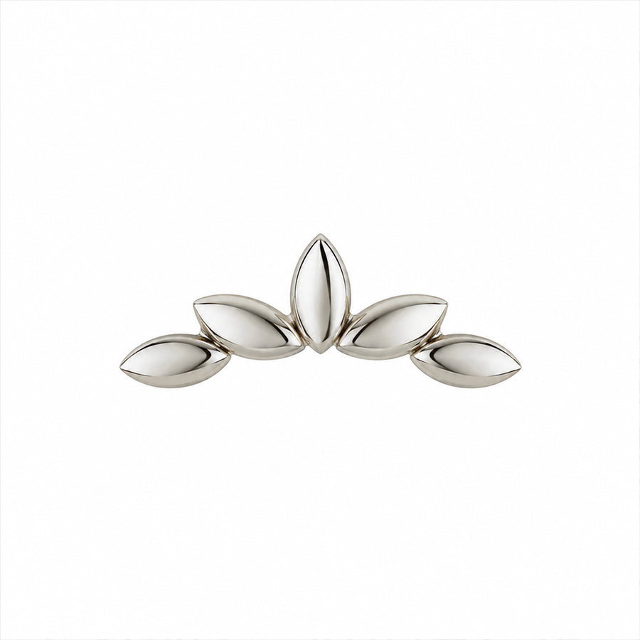 Metal canopy