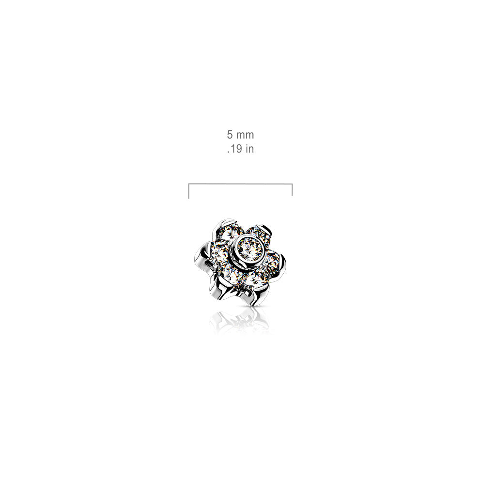 Radiant petals dermal