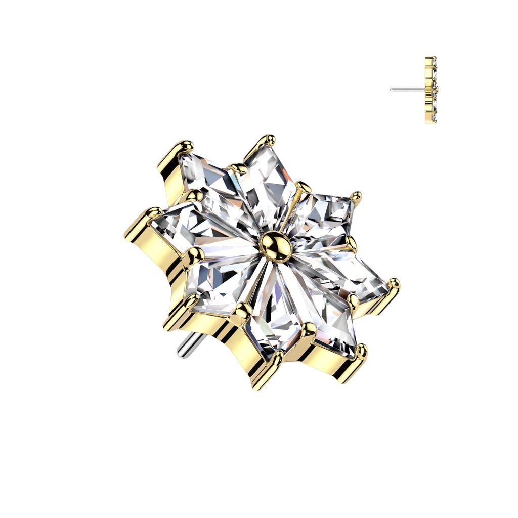 Floral radiance