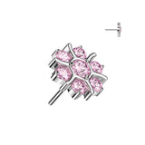 argento