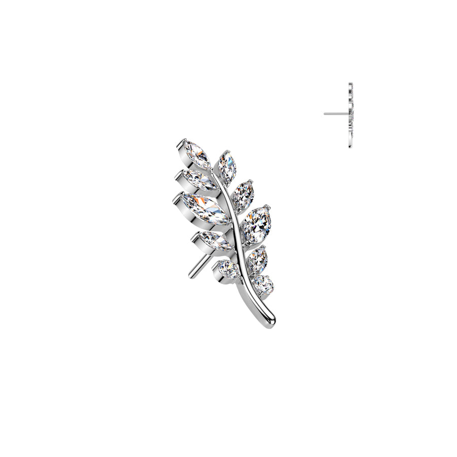 Big nature zircons