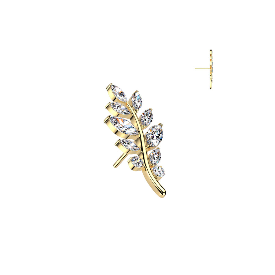 Big nature zircons
