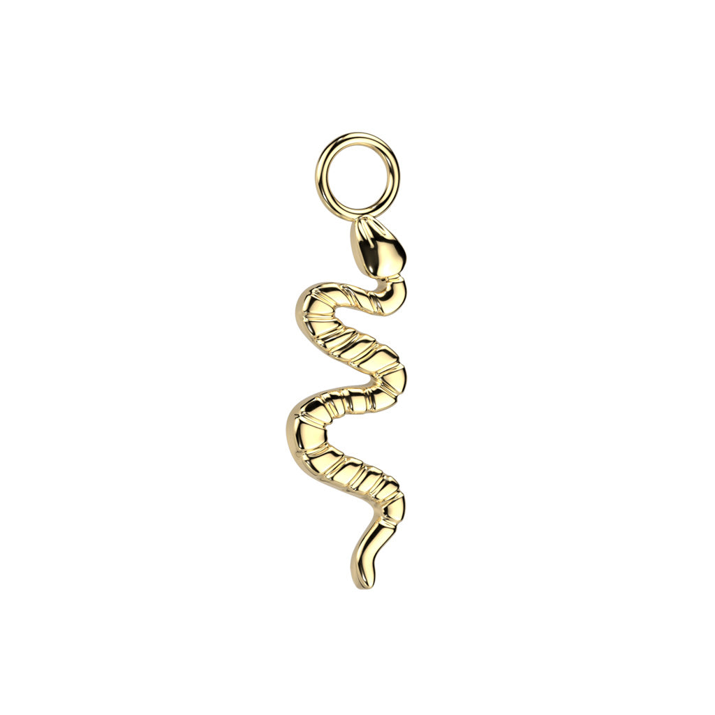 Snake eye charm