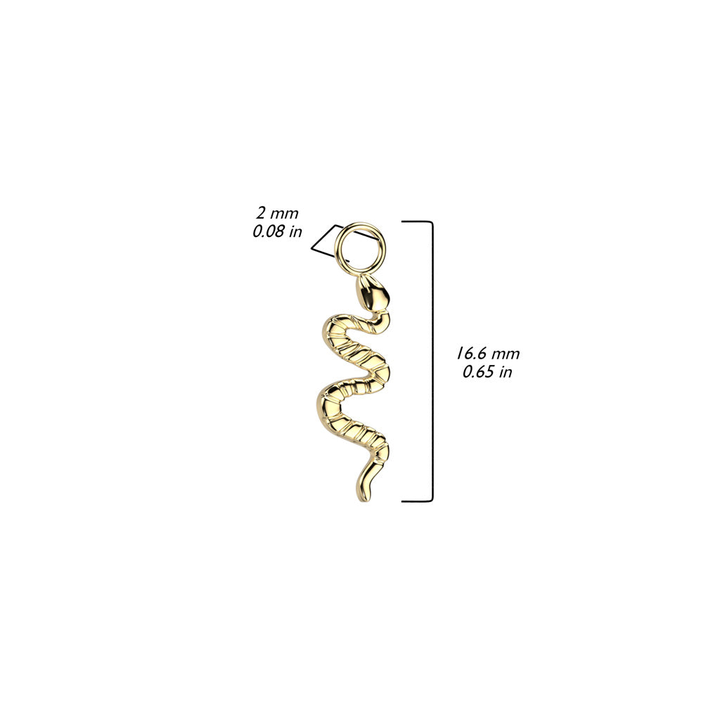 Snake eye charm