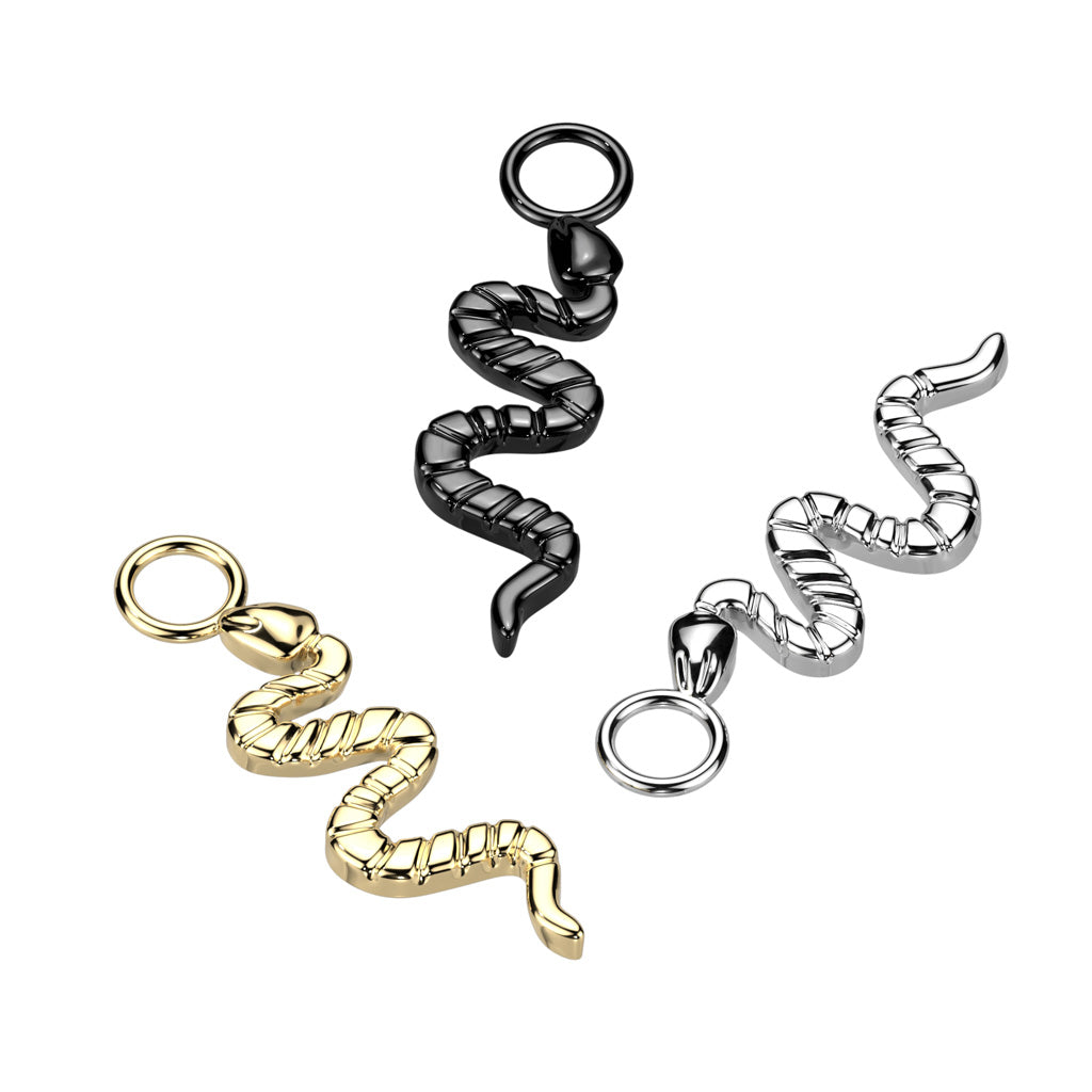 Snake eye charm