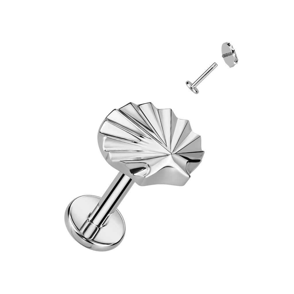 Shell