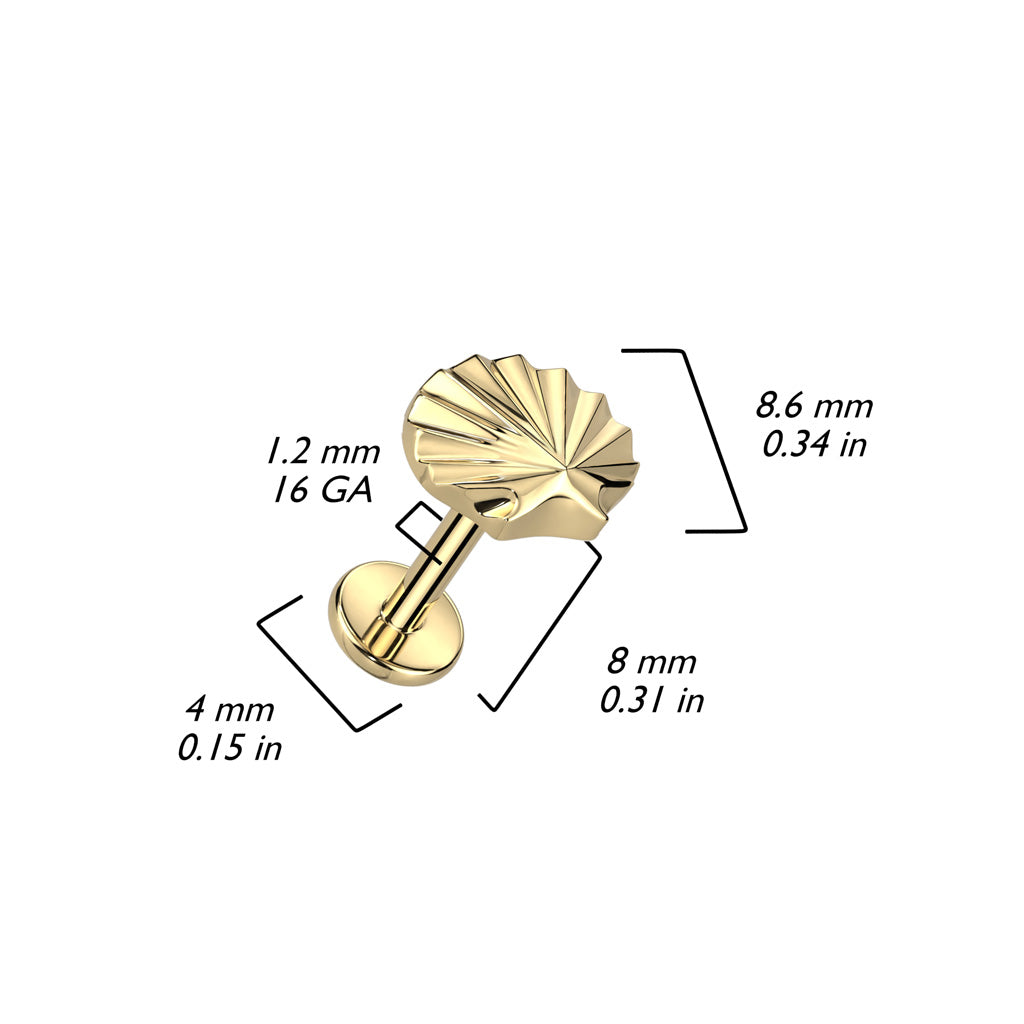 Shell