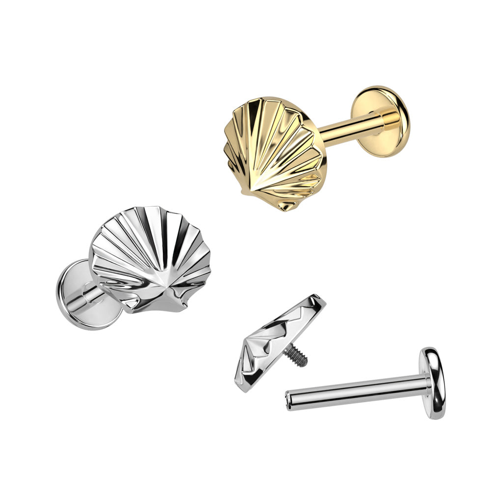 Shell