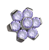 viola